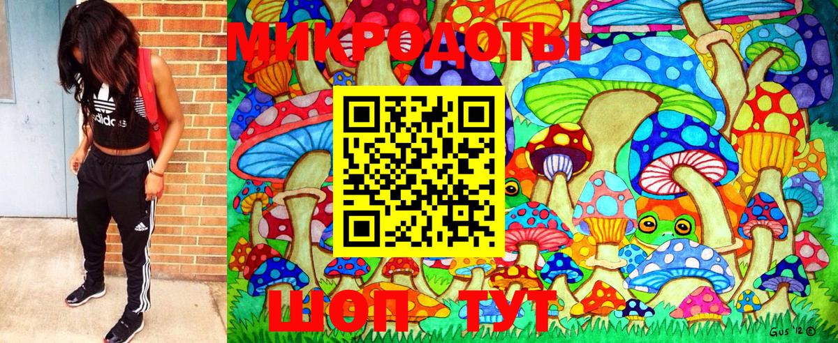 где купить наркоту  Галлюциногенные грибы Cubensis  Тулун  Вход с VPN  Галлюциногенные грибы GOLDEN TEACHER 